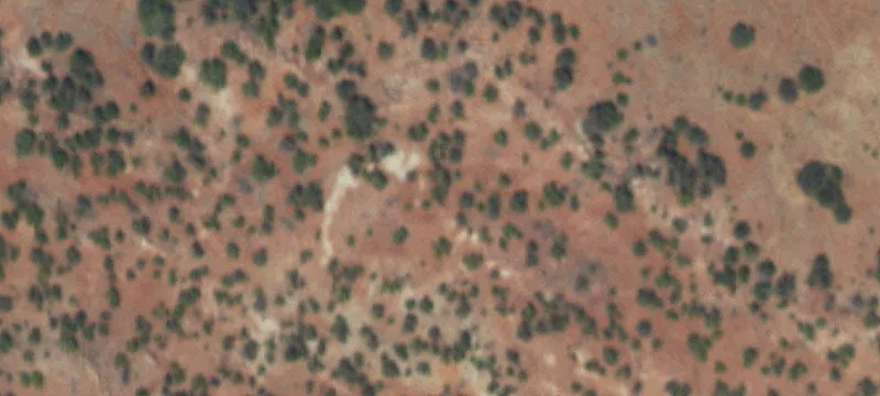 Ribera, NM 87560