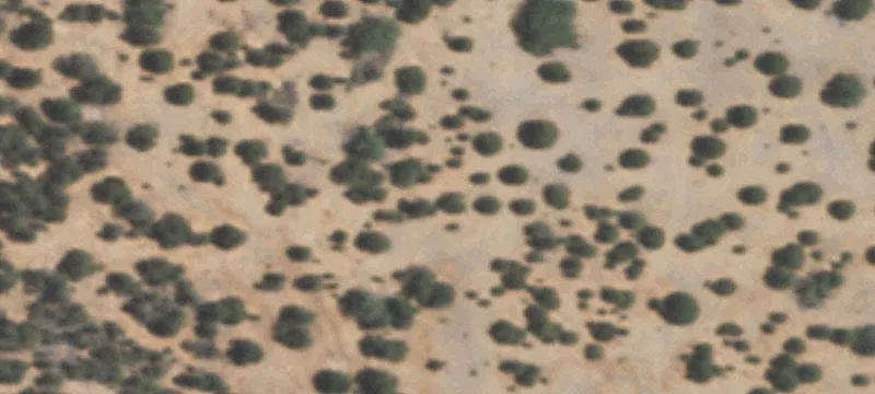 Mountainair, NM 87036