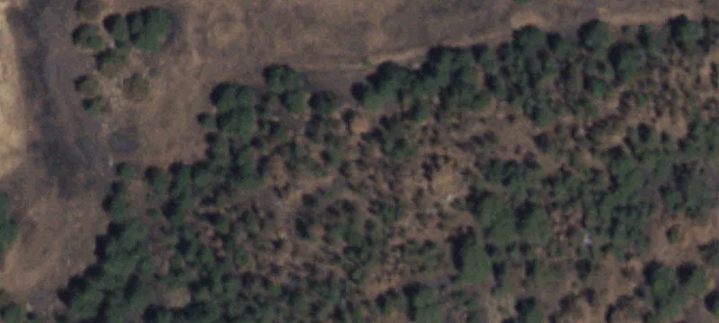 Guadalupita, NM 87722