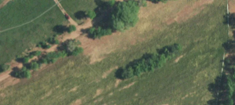 Ribera, NM 87560