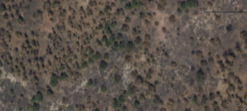 Conchas Dam, NM 88416