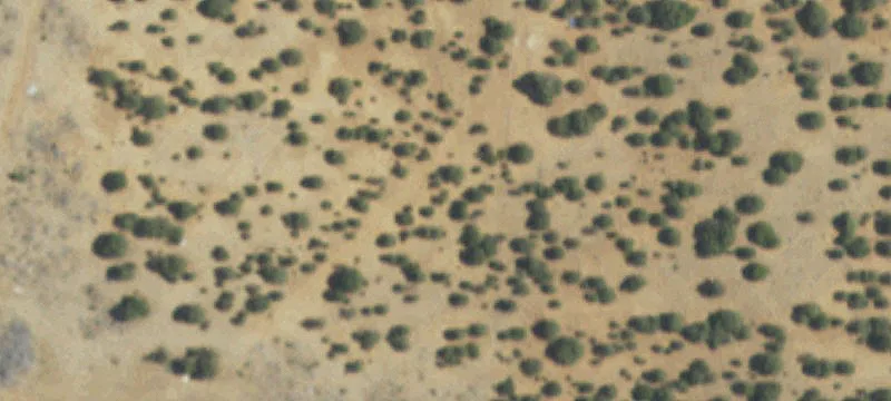 Ribera, NM 87560