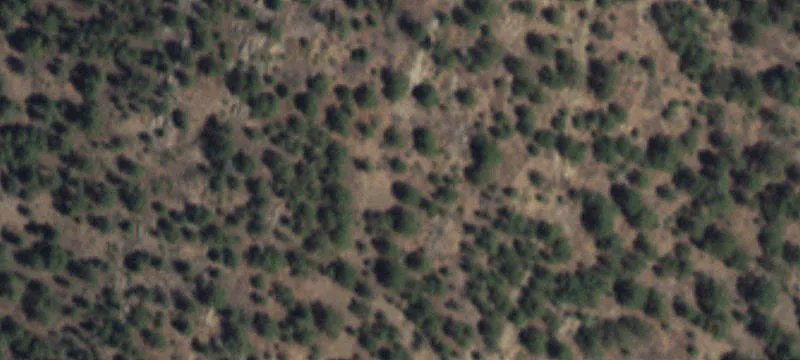 Guadalupita, NM 87722