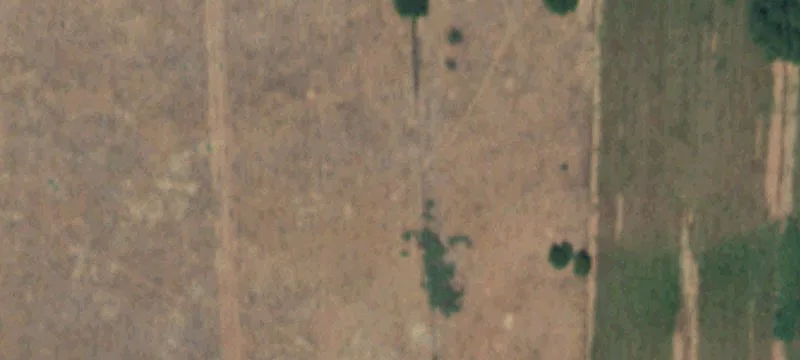 Ribera, NM 87560
