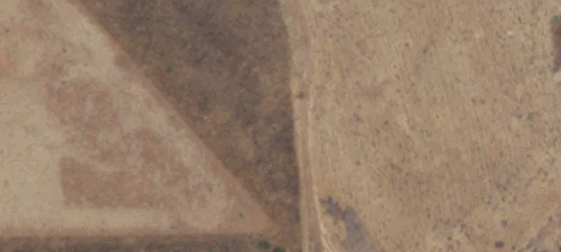 Portales, NM 88130
