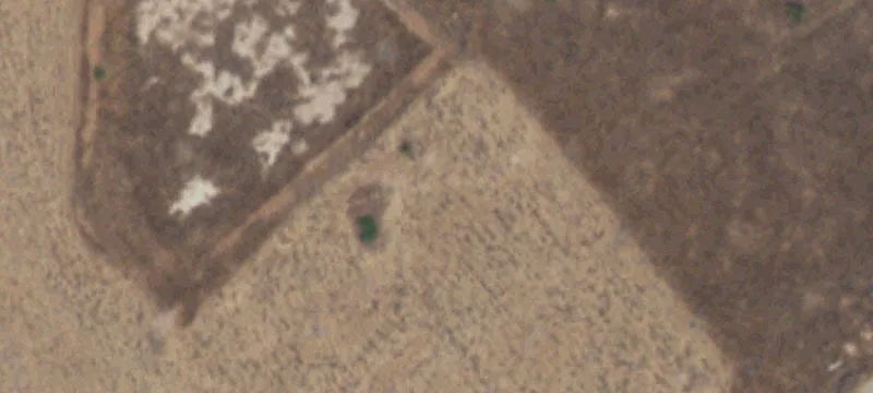 Portales, NM 88130