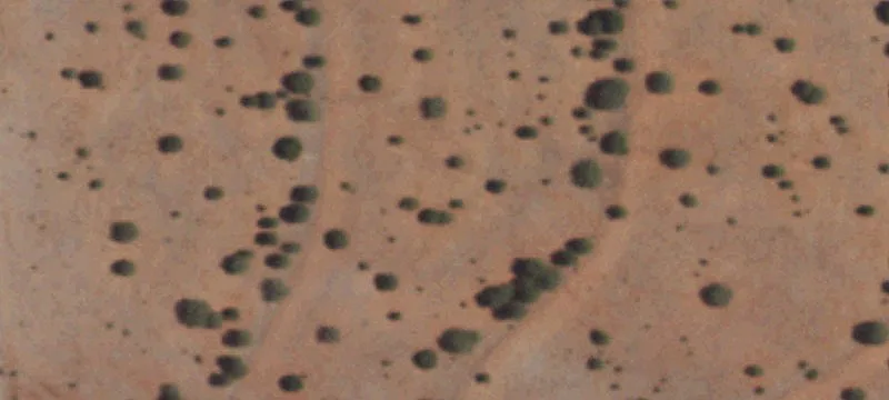 Mountainair, NM 87036