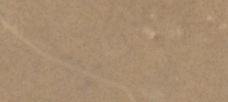 Encino, NM 88321