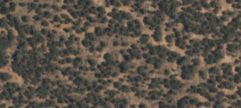 Corona, NM 88318