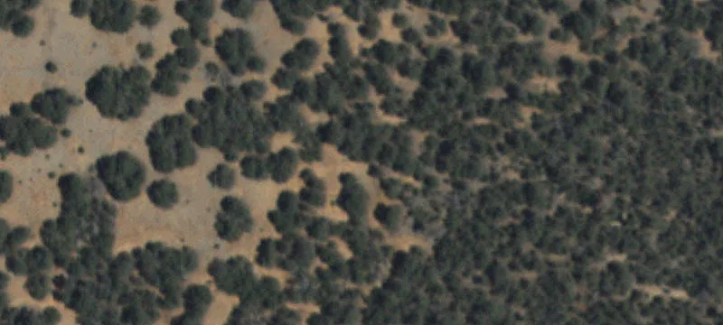 Edgewood, NM 87015