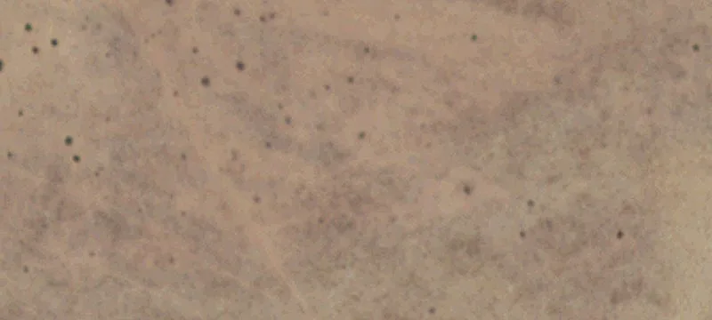 Encino, NM 88321