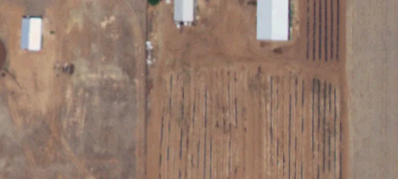 Clovis, NM 88101