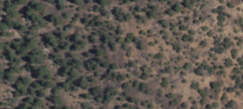 784 Apache Mesa Rd