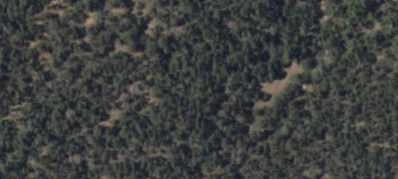 Edgewood, NM 87015