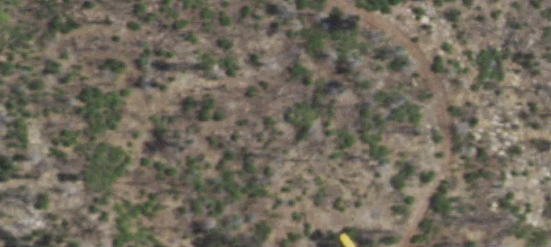 Estancia, NM 87016