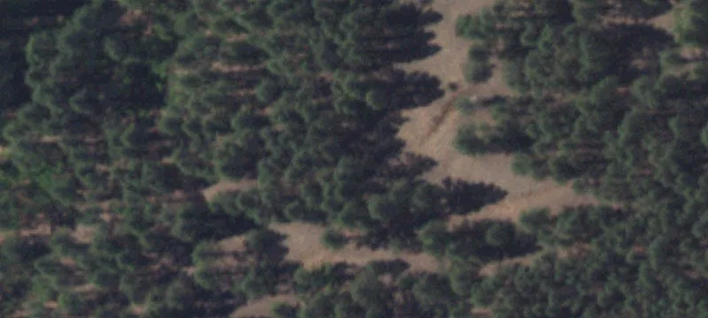 Los Pinos Rd