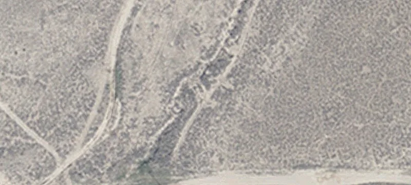 Ely, NV 89301