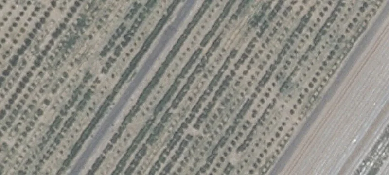 7810 10th Way