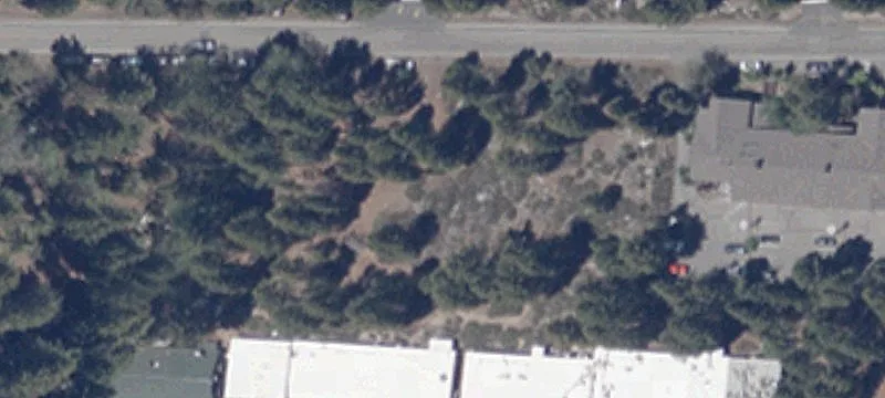 877 Alder Ave