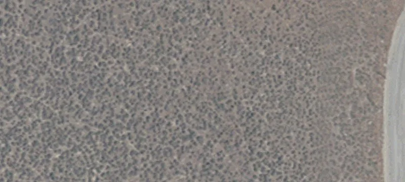 21115 Walker Lk Rd