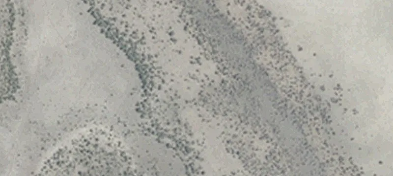 Wells, NV 89835