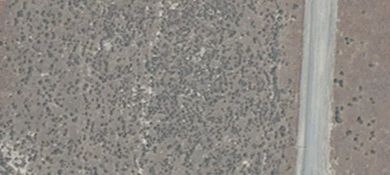 22095 Smt Lk Trl