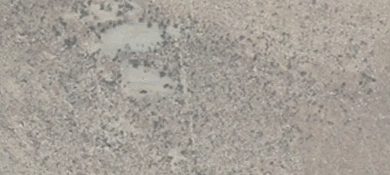 Reno, NV 89508