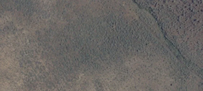 Gerlach, NV 89412