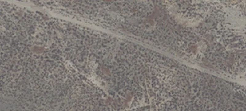 Gerlach, NV 89412