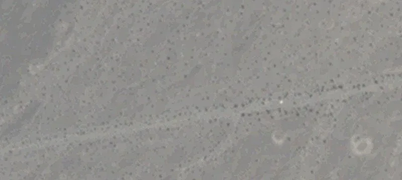 Indian Springs, NV 89018