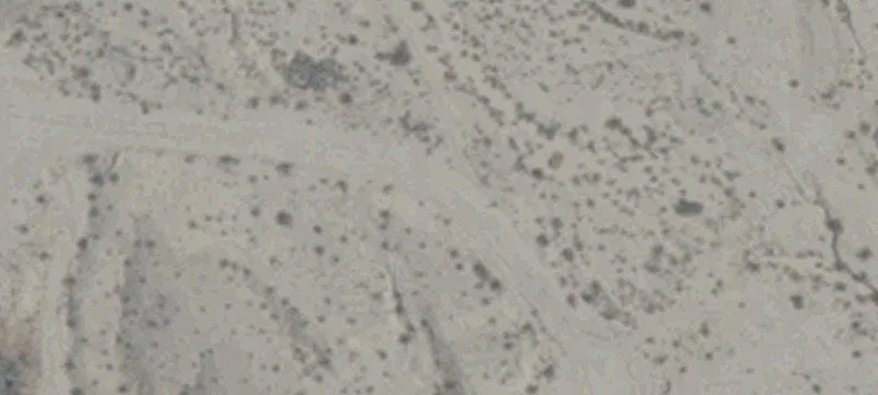 Laughlin, NV 89029