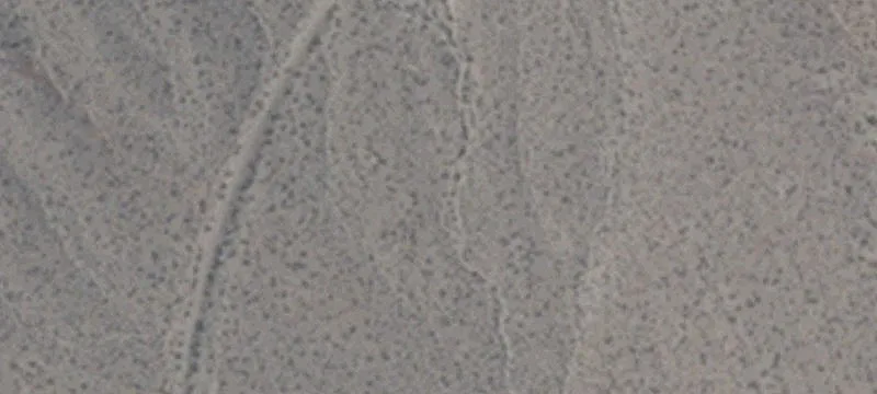 Jean, NV 89019