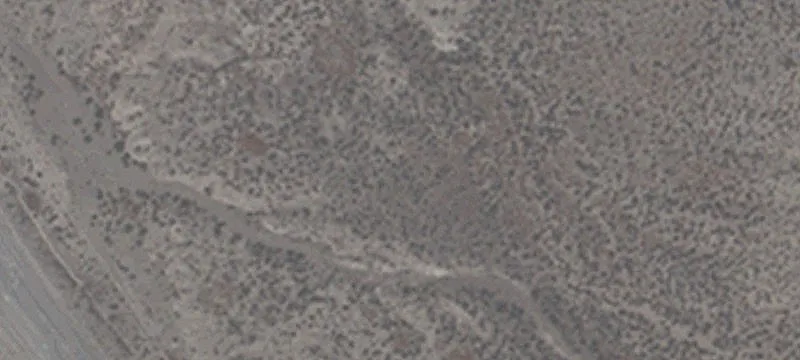 Gerlach, NV 89412