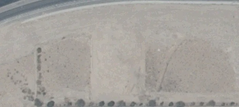 Henderson, NV 89052