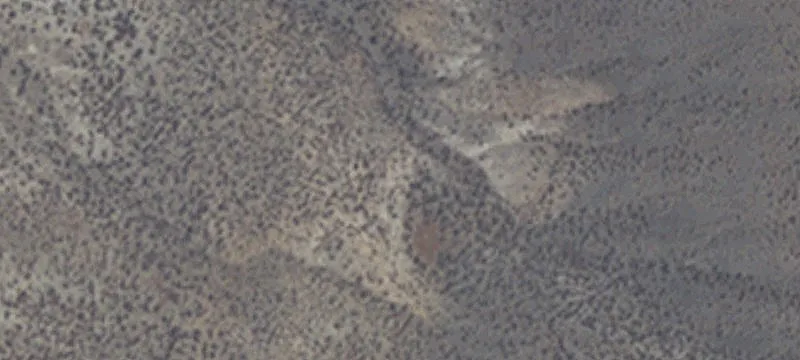 Gerlach, NV 89412