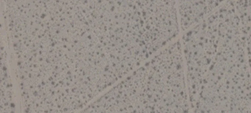 Cal Nev Ari, NV 89039
