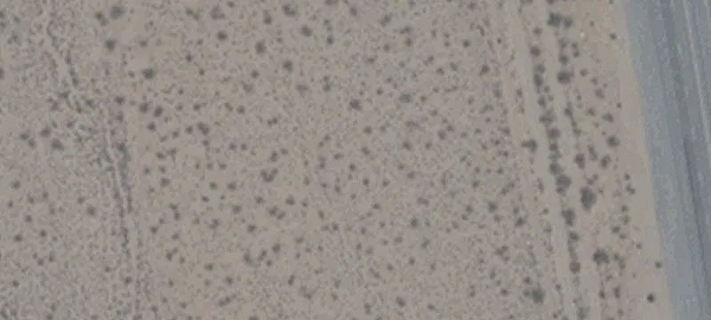 Cal Nev Ari, NV 89039