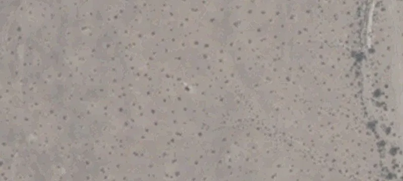 Moapa, NV 89025