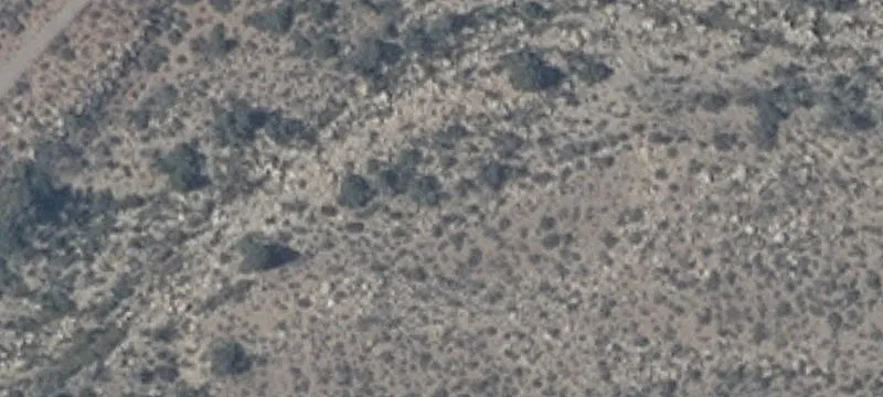Las Vegas, NV 89161