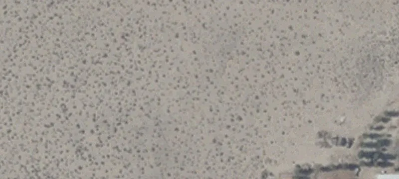 Jean, NV 89019