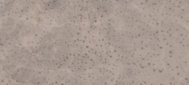 Mesquite, NV 89007