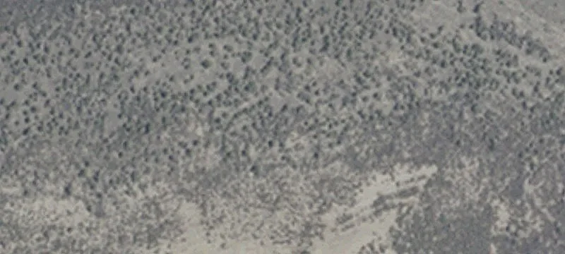 16932 Renewable Way