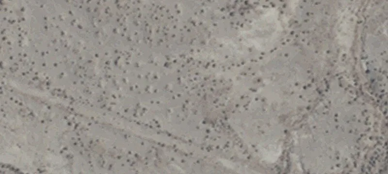 Fallon, NV 89406