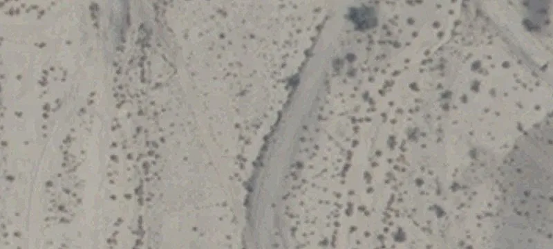 Laughlin, NV 89029