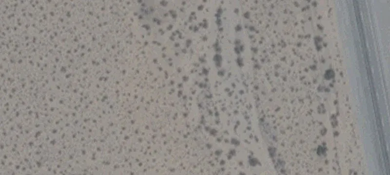 Cal Nev Ari, NV 89039