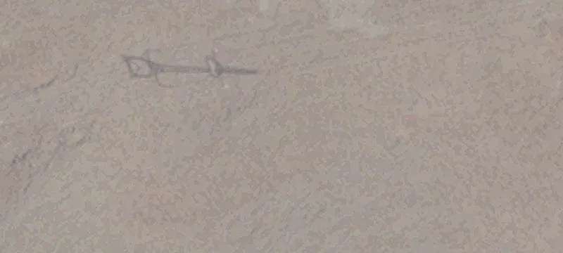 Sparks, NV 89437
