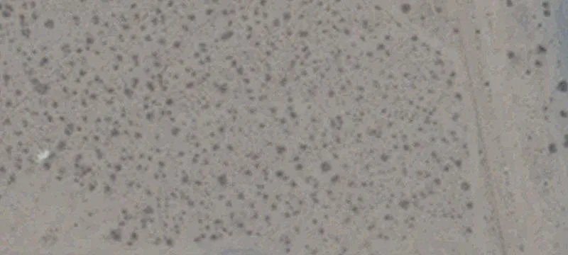 Cal Nev Ari, NV 89039