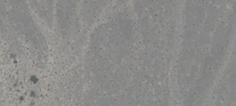 Indian Springs, NV 89018