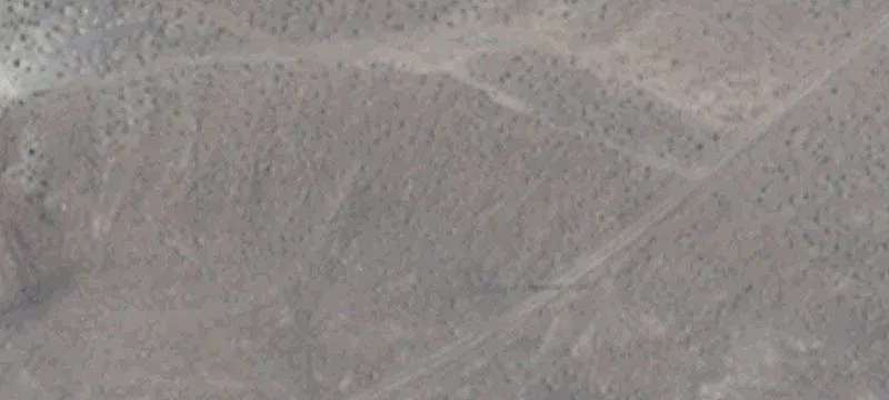 Fallon, NV 89407