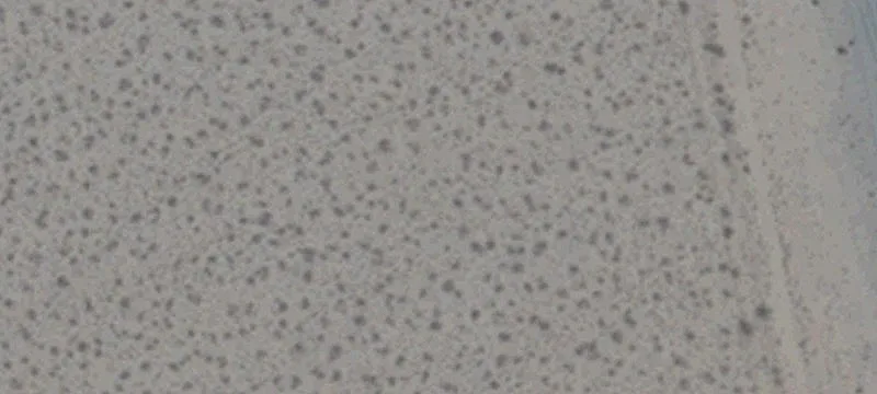 Cal Nev Ari, NV 89039
